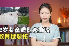多米体育官网登录-云达不莱梅比赛延期